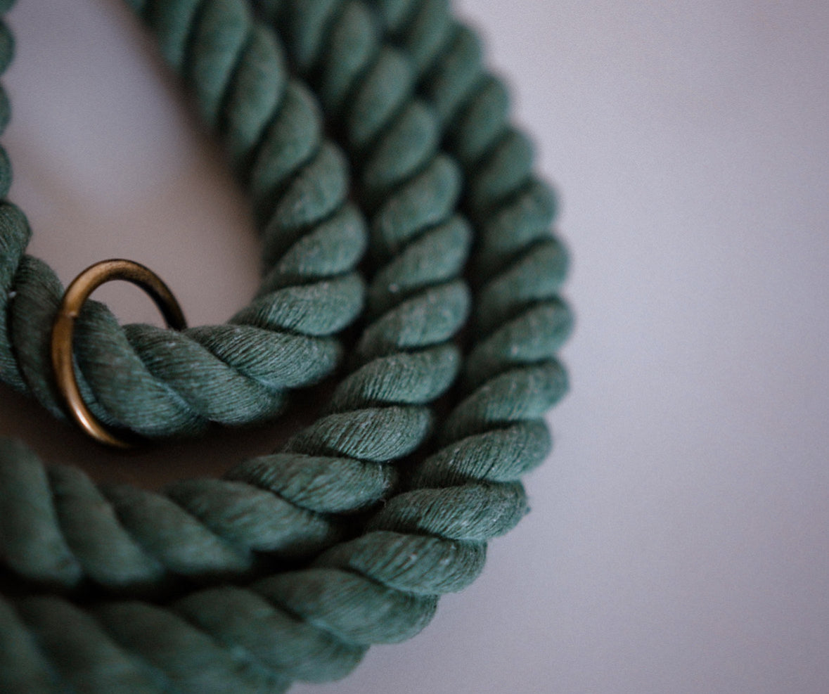 The Knotted Rope Dog Lead