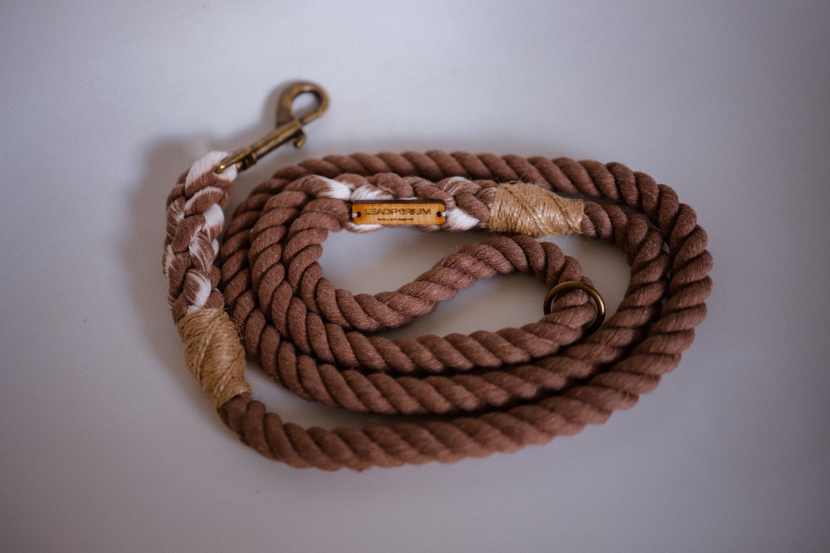 The Standard Rope Lead