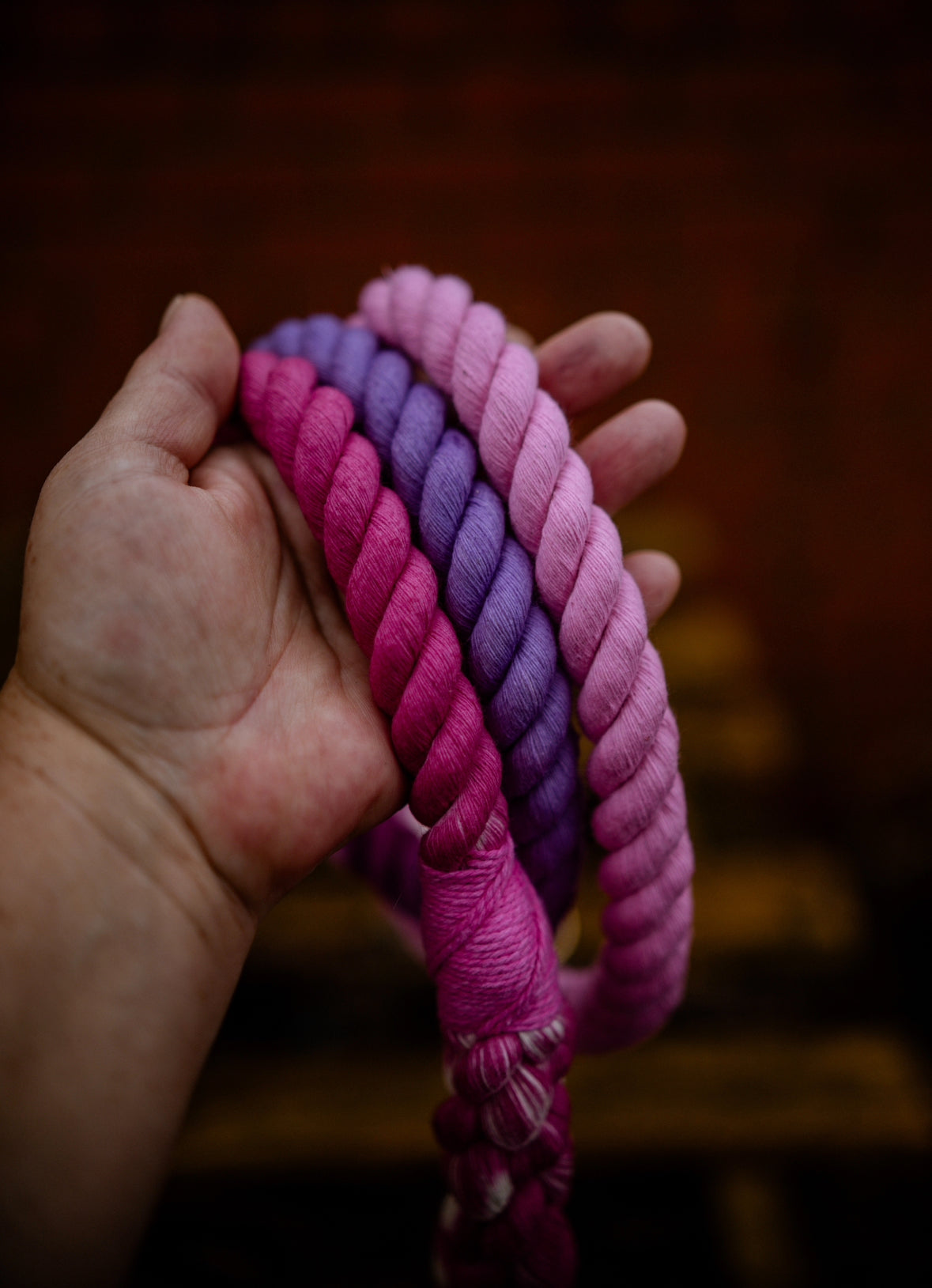 Ombré Slim Clip Lead