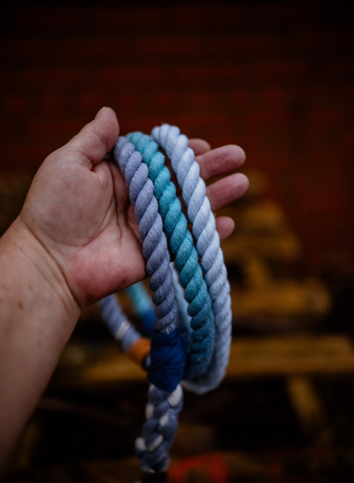 Ombré Slim Clip Lead
