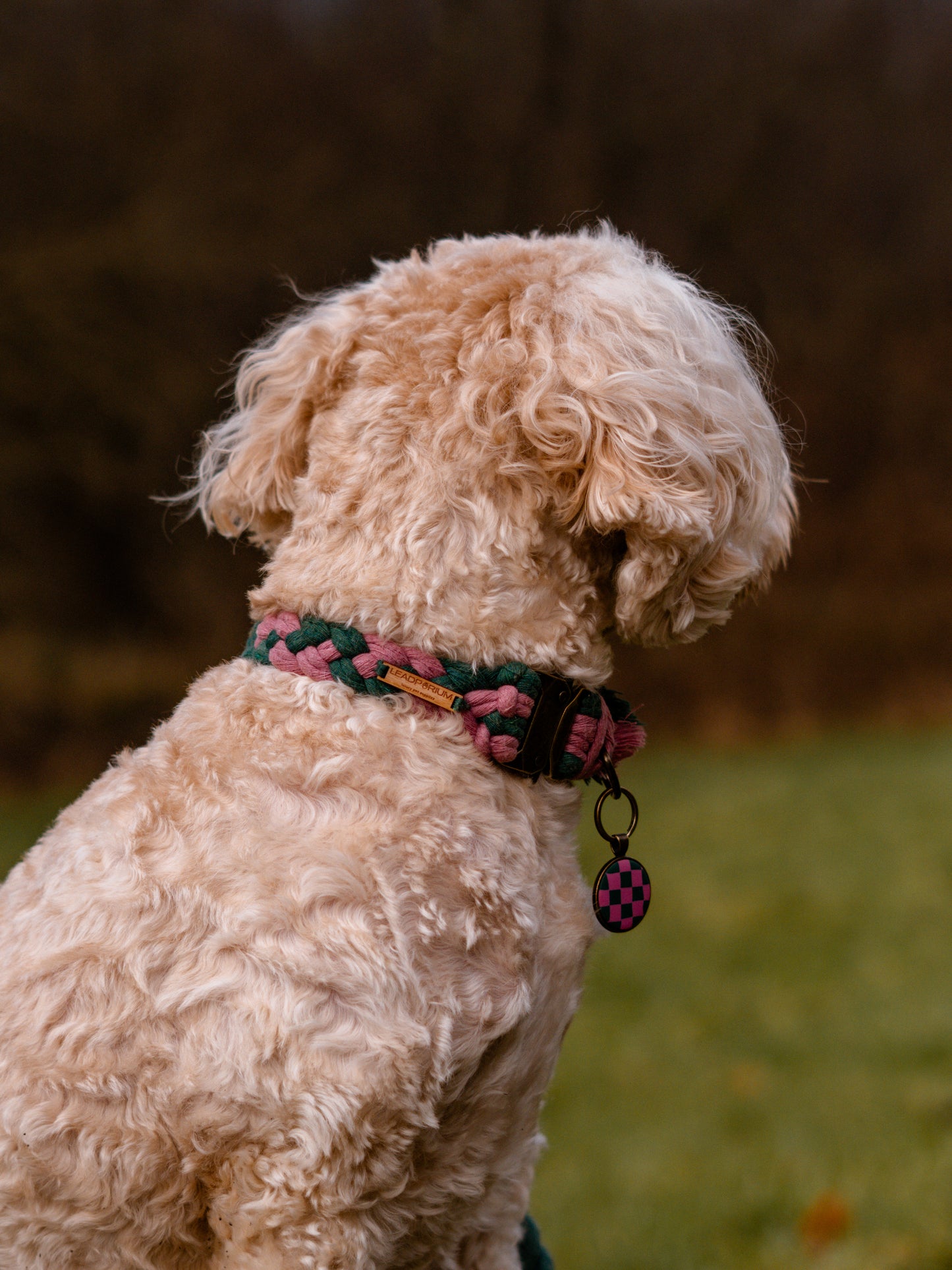 Plaited Macramé Collars