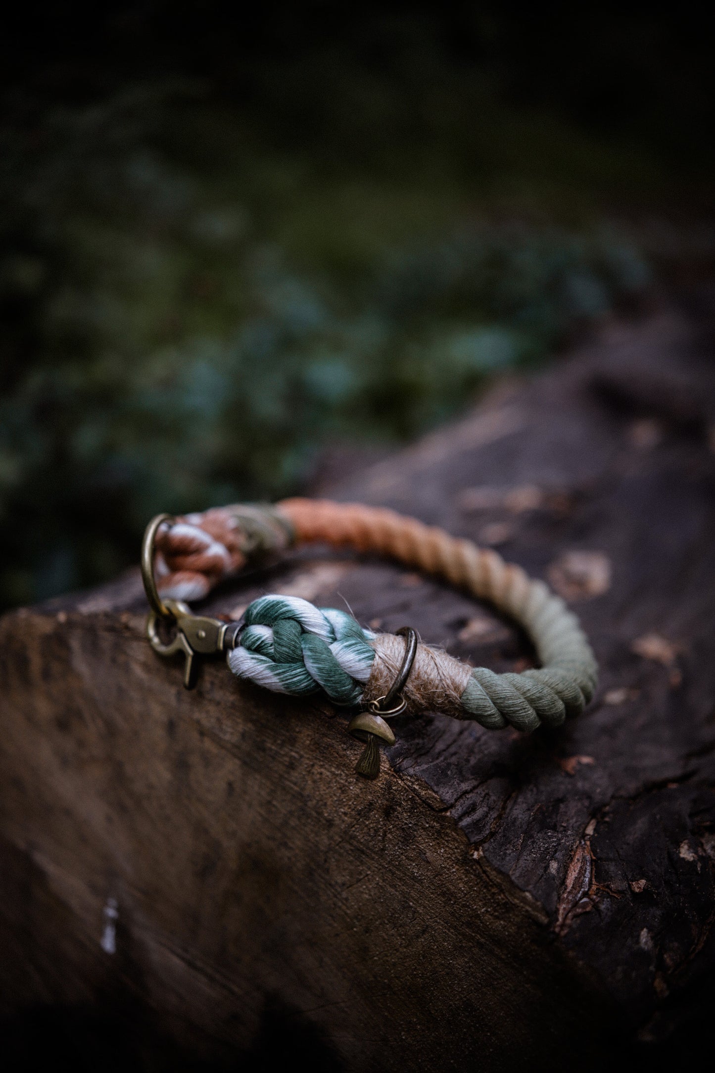 Ombré Standard Clip Collar