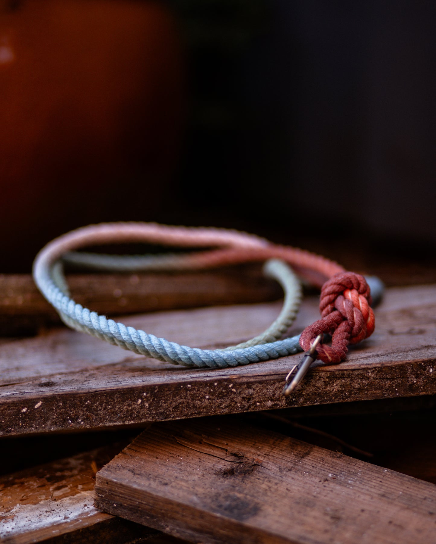 Wild West, The Human Bits