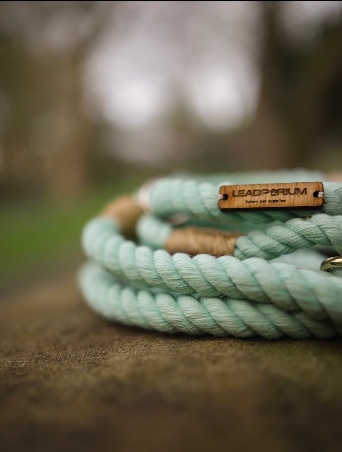 The Hands Free Rope Lead