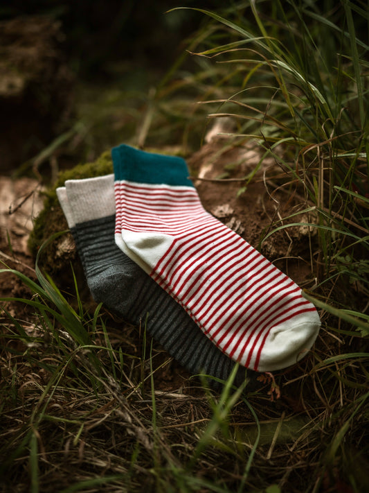 Striped Cotton Socks