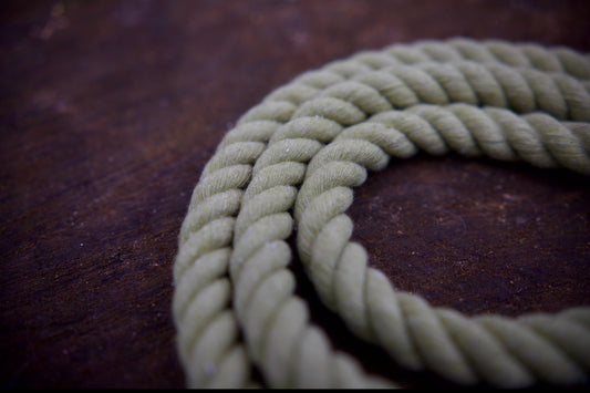 The Knotted Rope Dog Lead