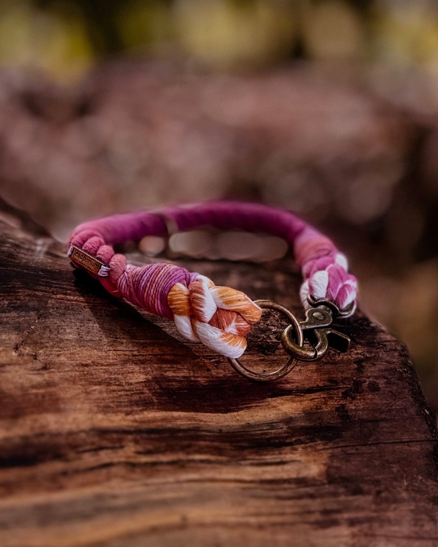 Autumn Blush, The Collars