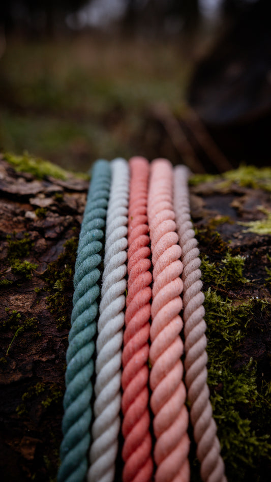 Bloom baby Bloom, The Leads