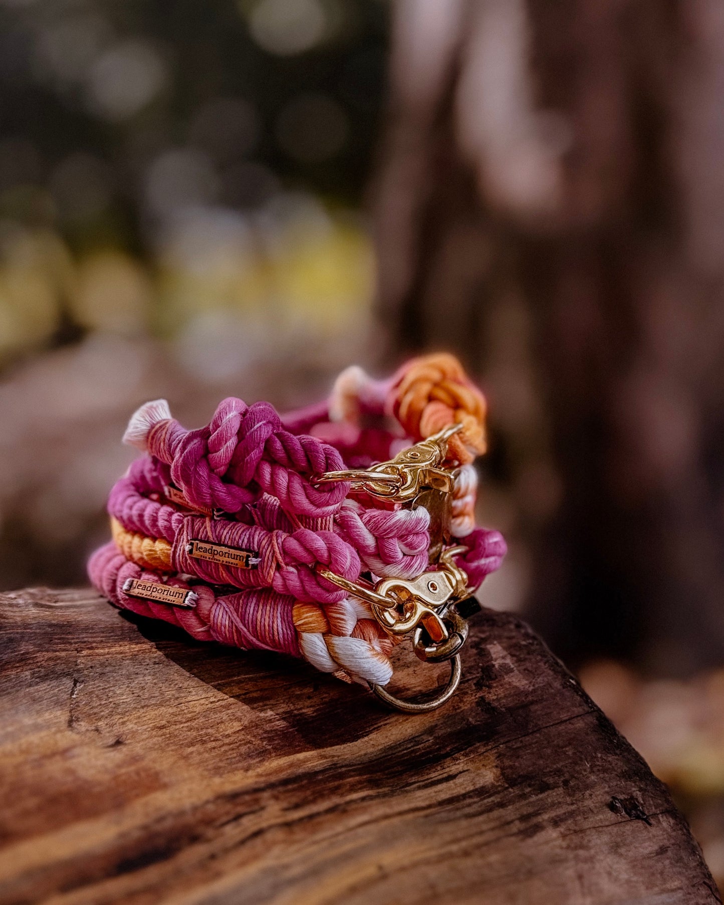 Autumn Blush, The Collars