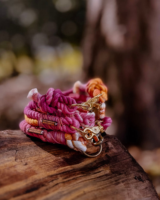 Autumn Blush, The Collars