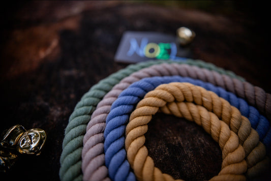 Noel Christmas Rope Leads