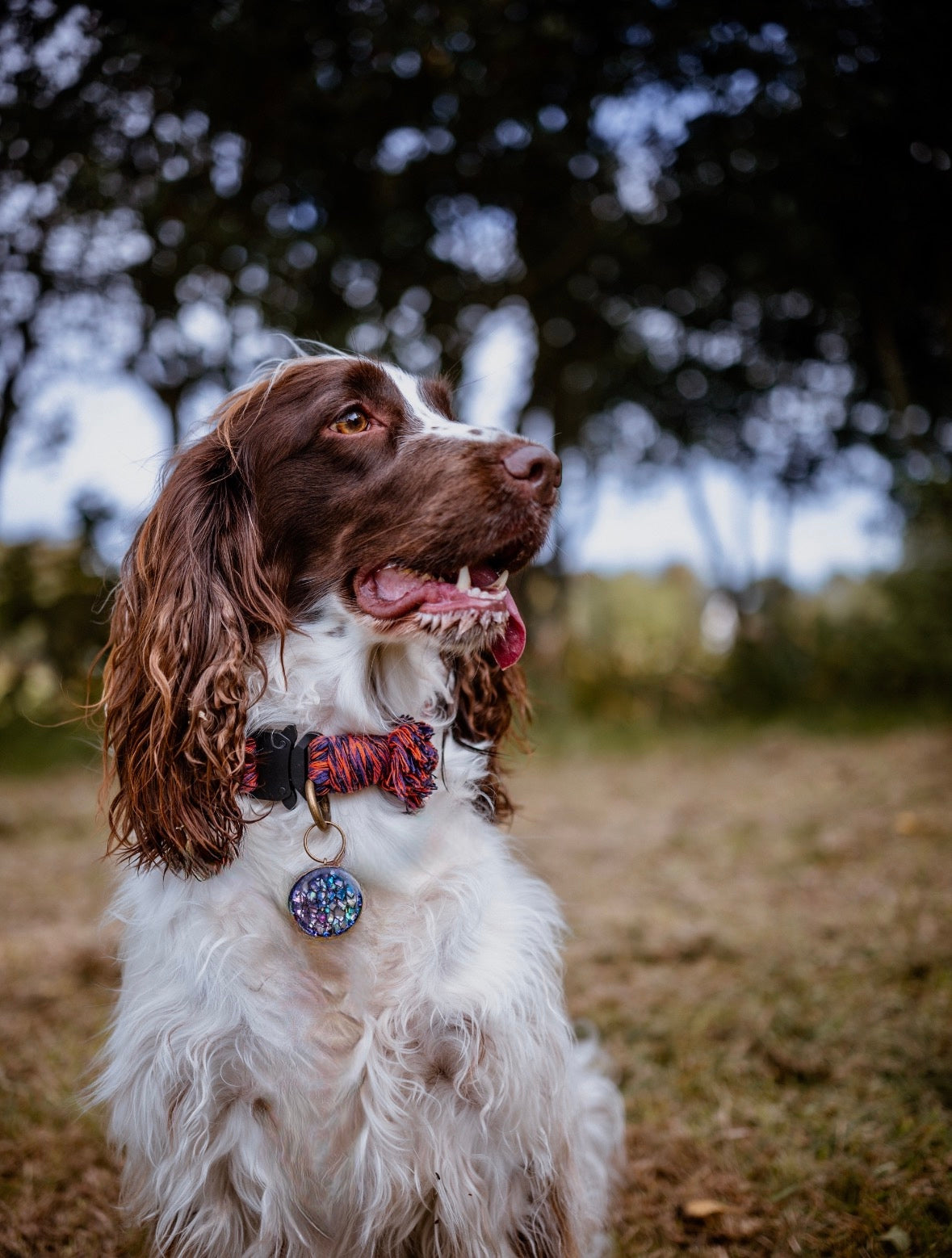 Macrame collars