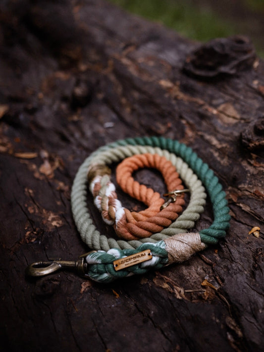 Ombré Standard Clip Lead