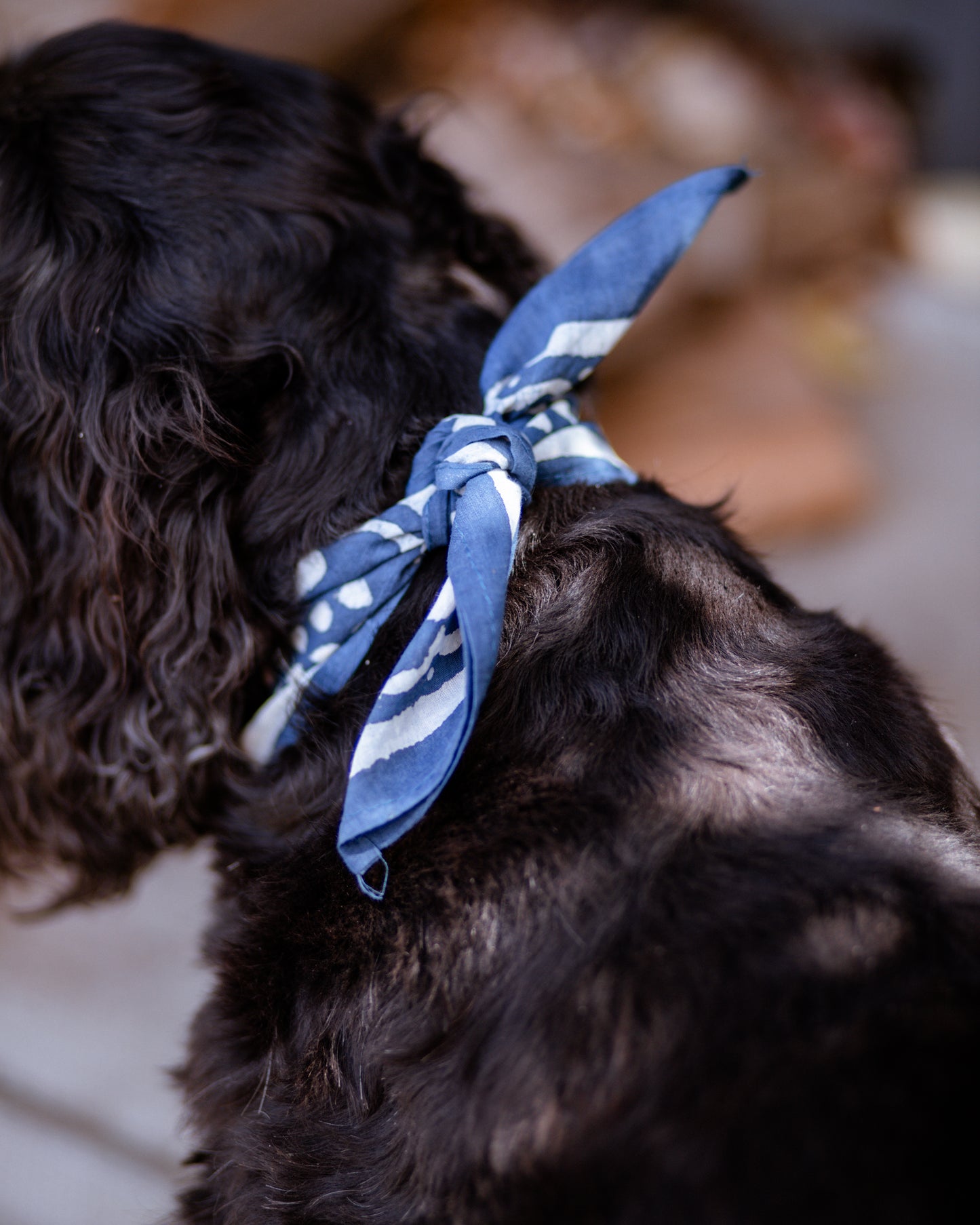 Wild West, The Bandanas