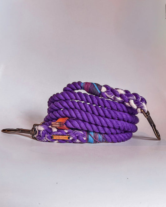 Limited Edition Dog Leads