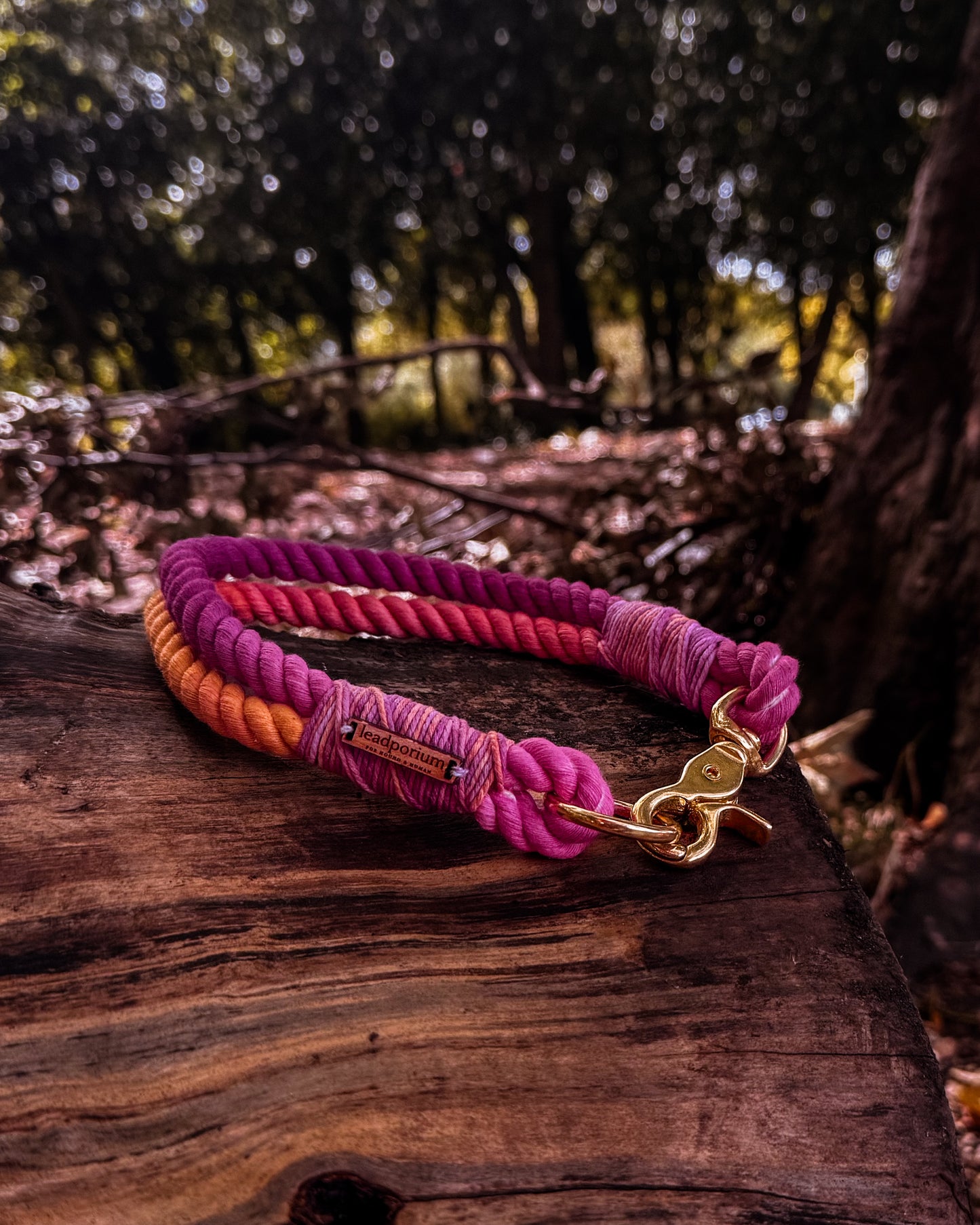 Autumn Blush, The Collars