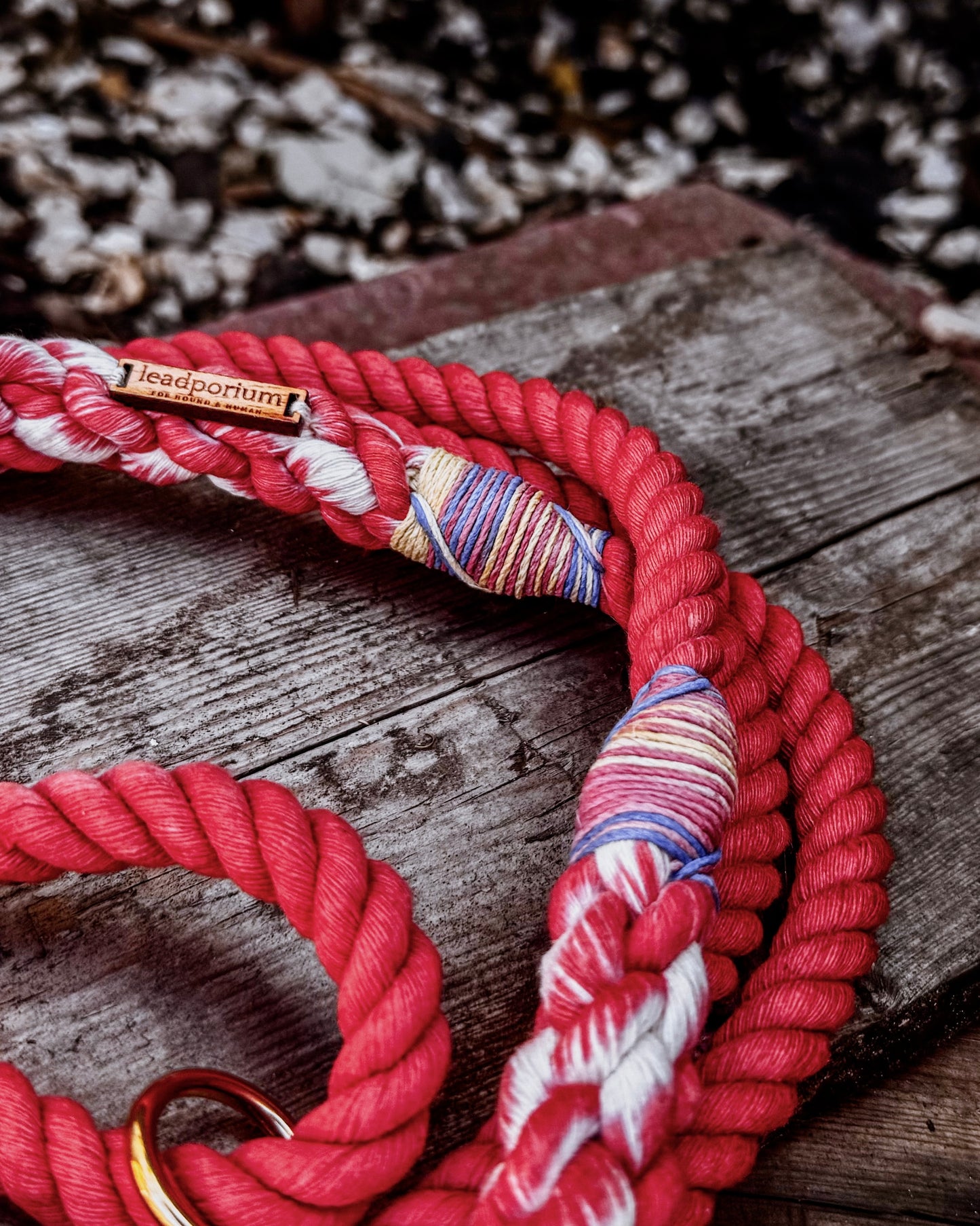 Limited Edition Dog Leads