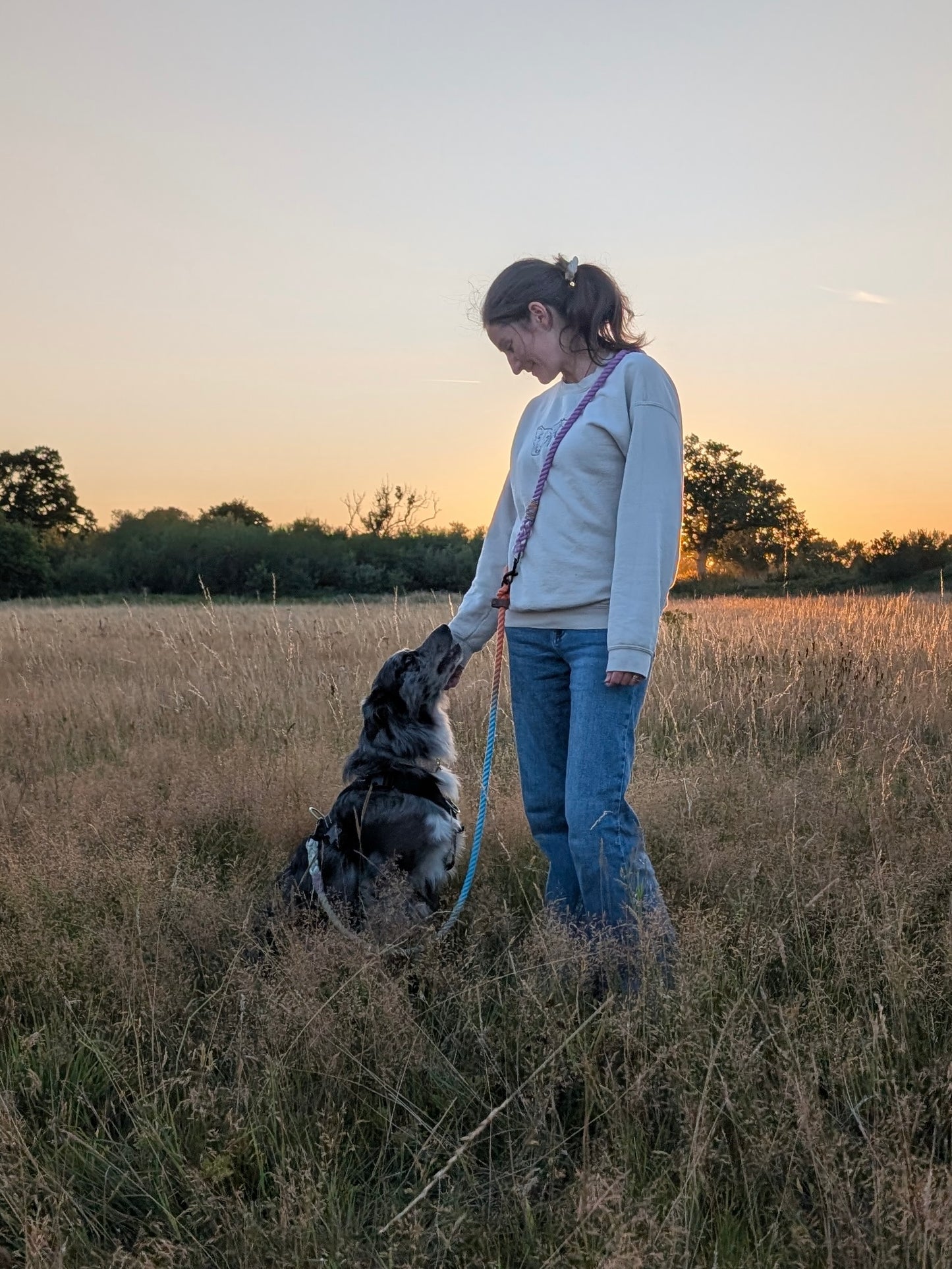 Ombré Hands Free Lead
