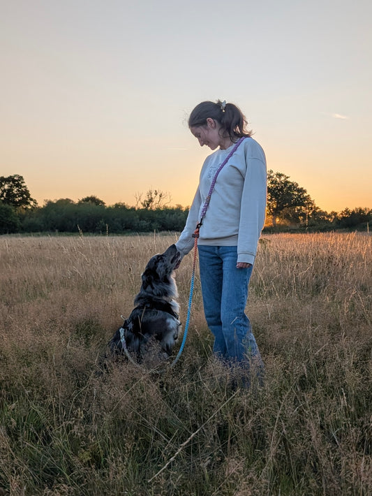 Ombré Hands Free Lead