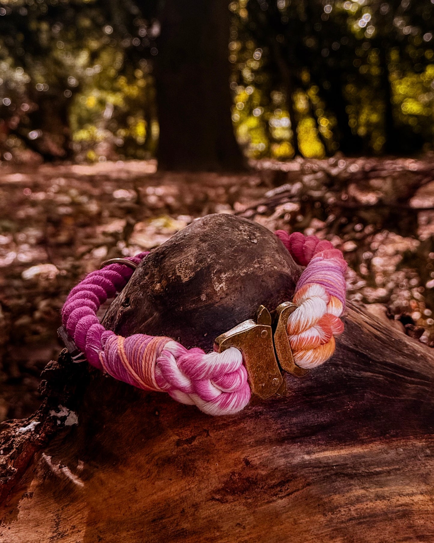 Autumn Blush, The Collars