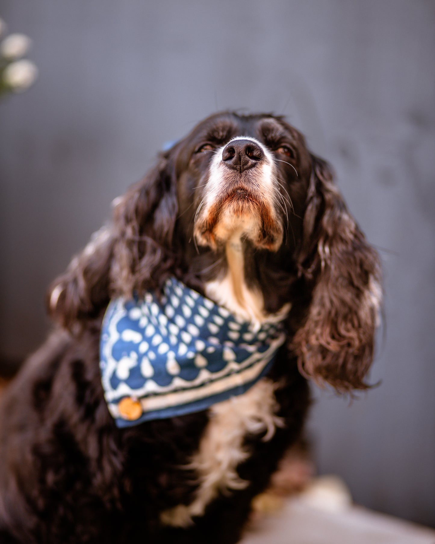 Wild West, The Bandanas