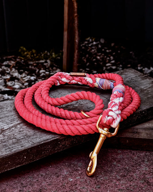 Limited Edition Dog Leads