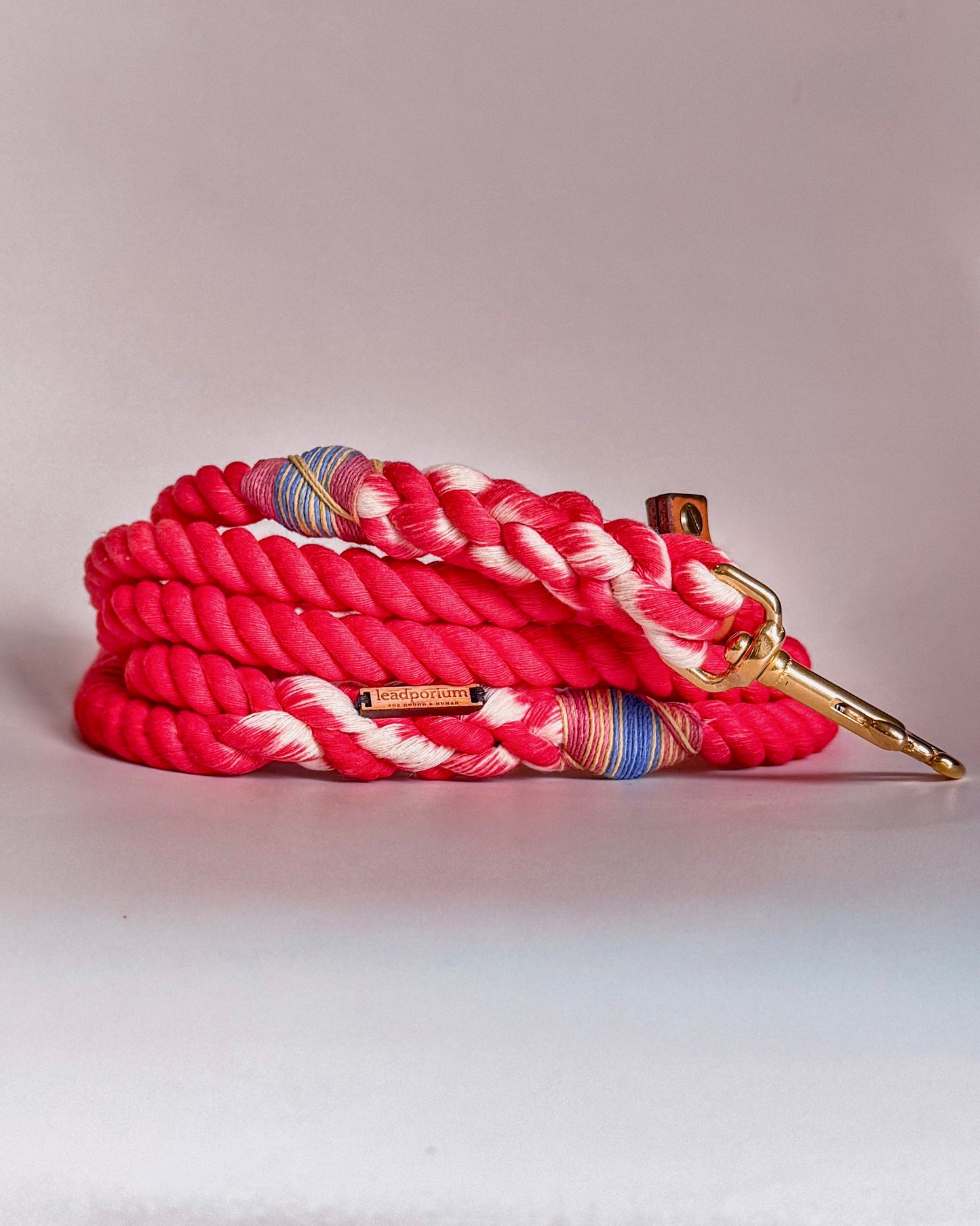 Limited Edition Dog Leads