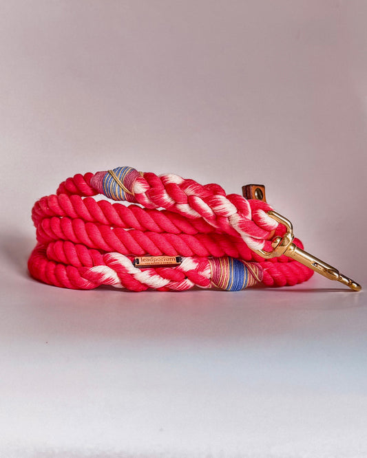 Limited Edition Dog Leads