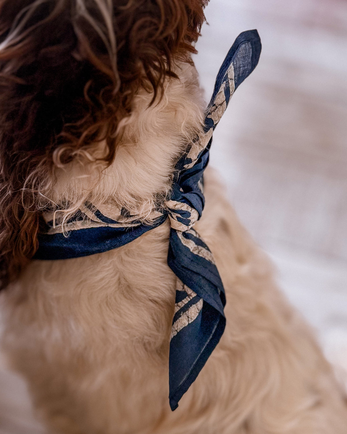 Cotton Bandana in Mustard