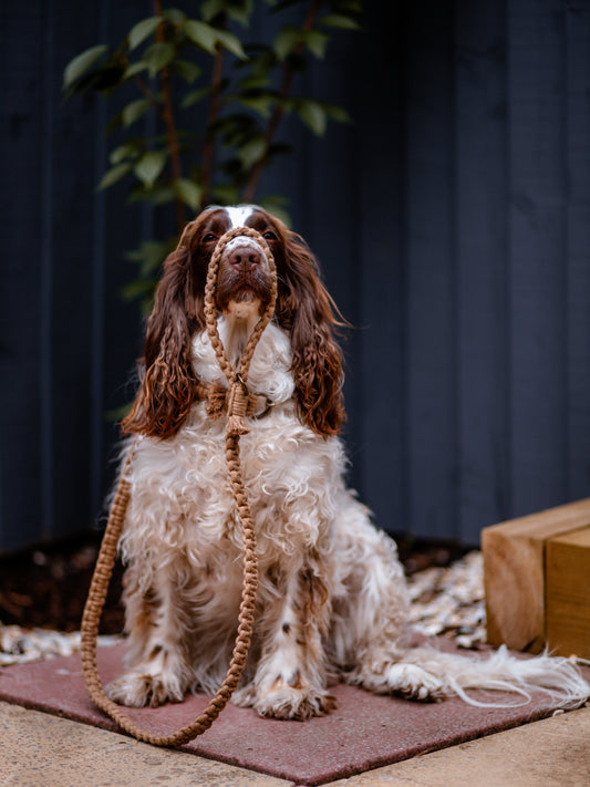 Macrame leads