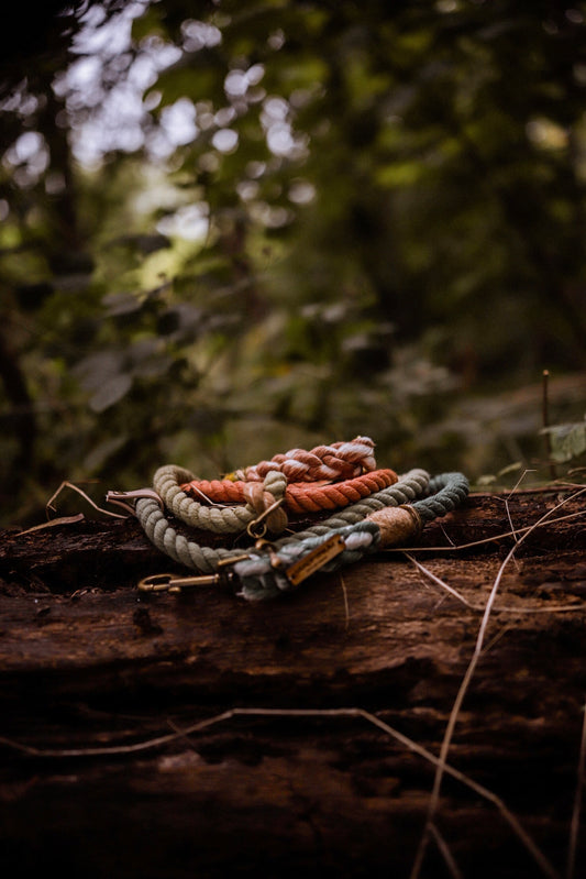 Ombré Hands Free Lead