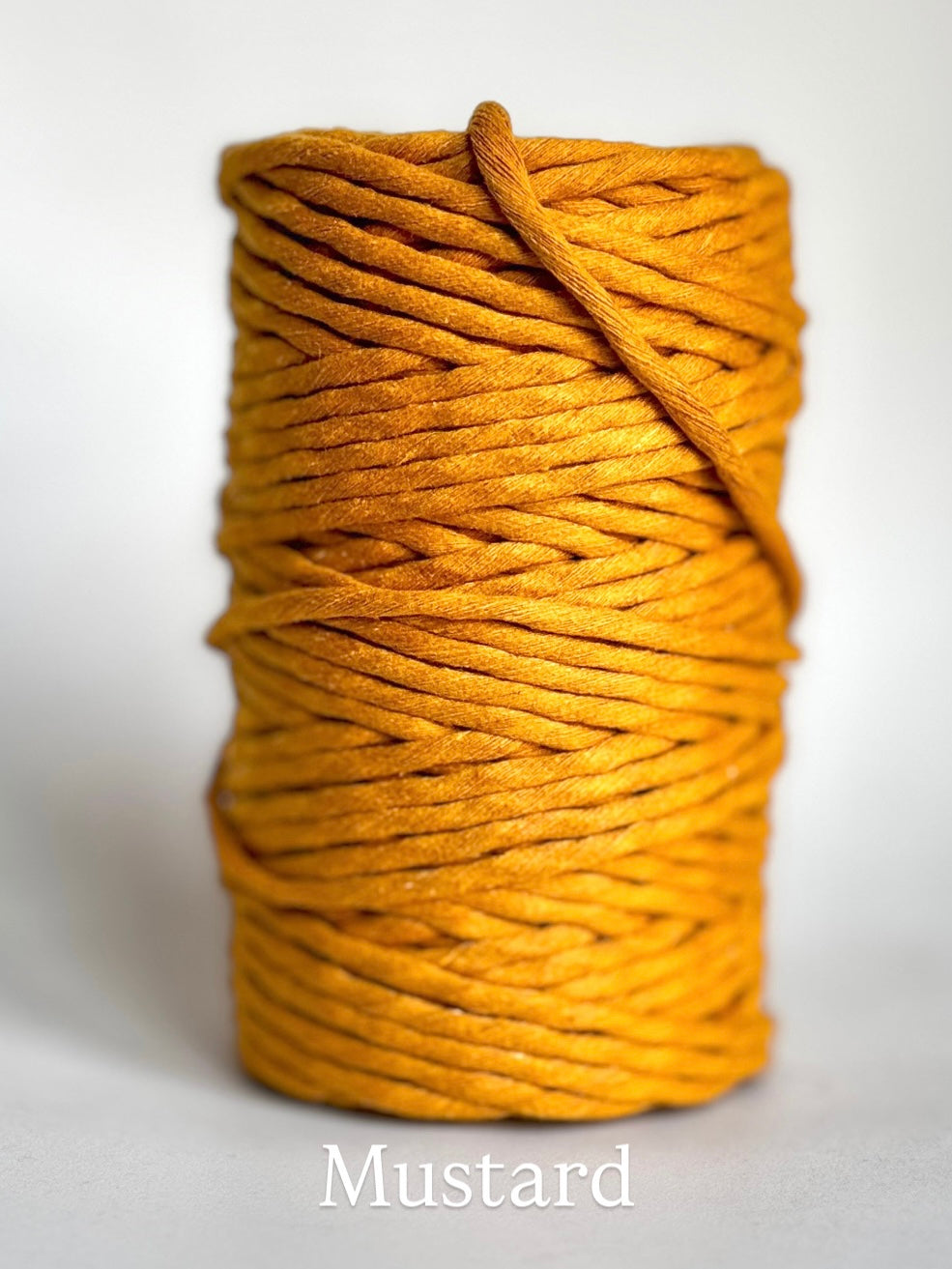 Plaited Macramé Bracelet