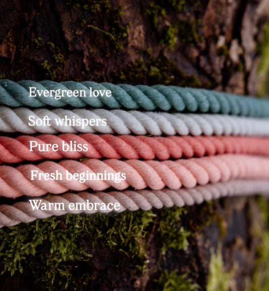 Bloom baby Bloom, The Bundles