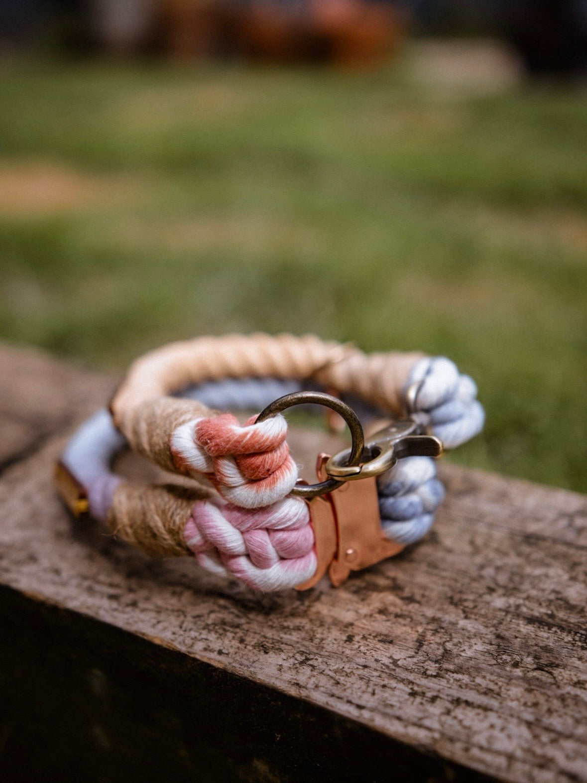 Ombré Standard Clip Collar