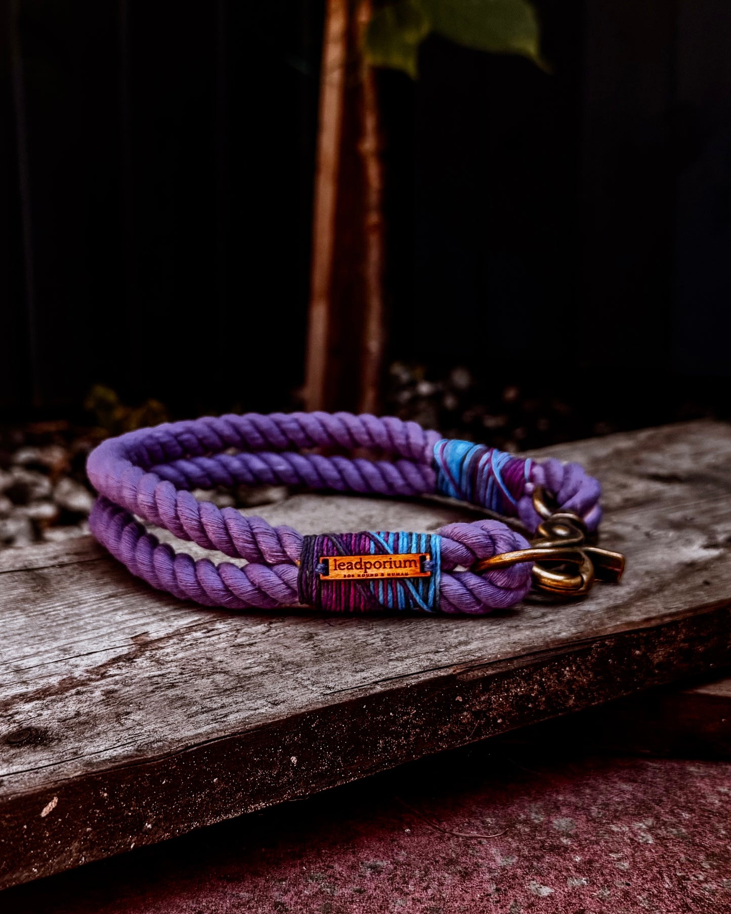 Limited Edition Dog Collars