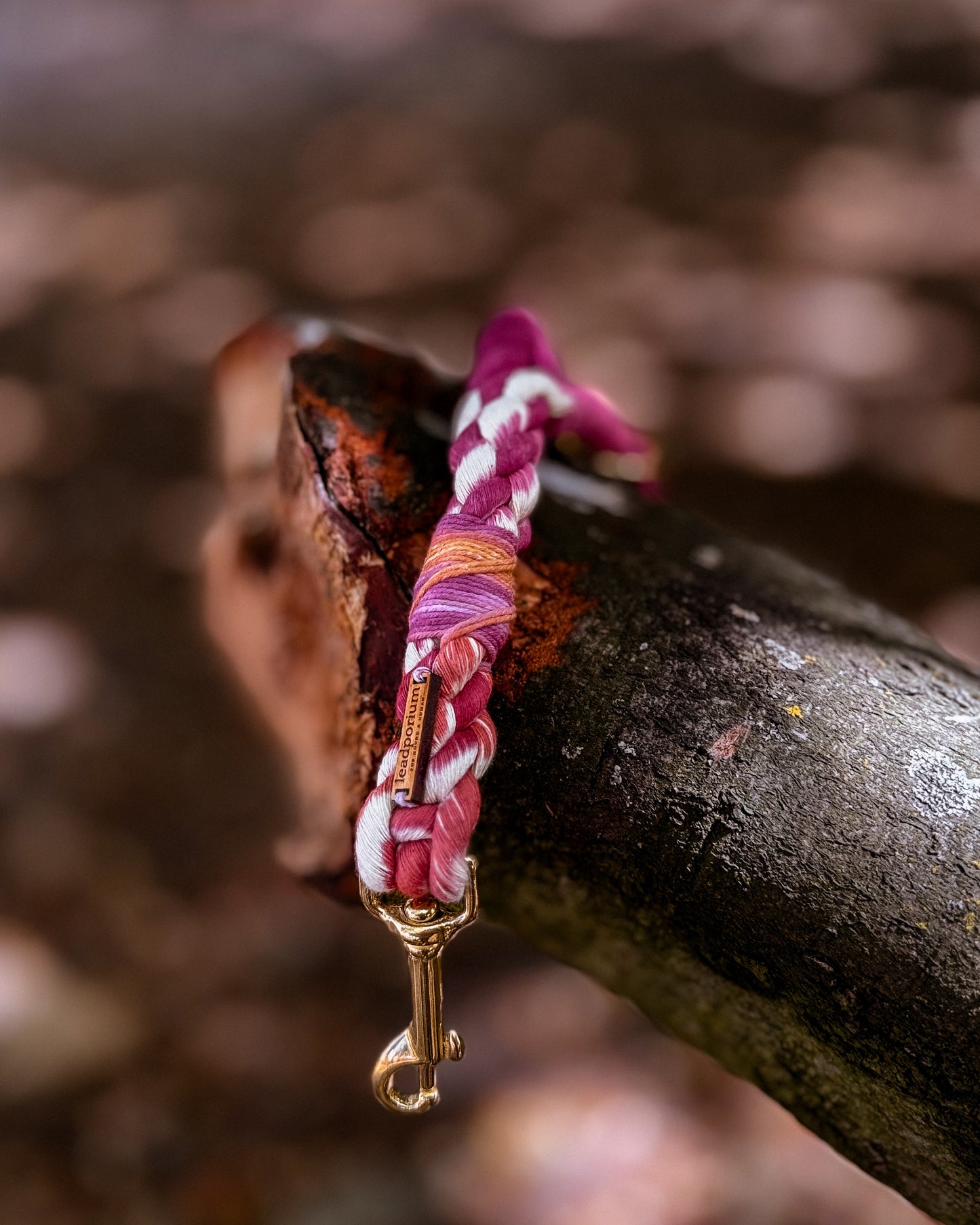 Autumn Blush, The Leads