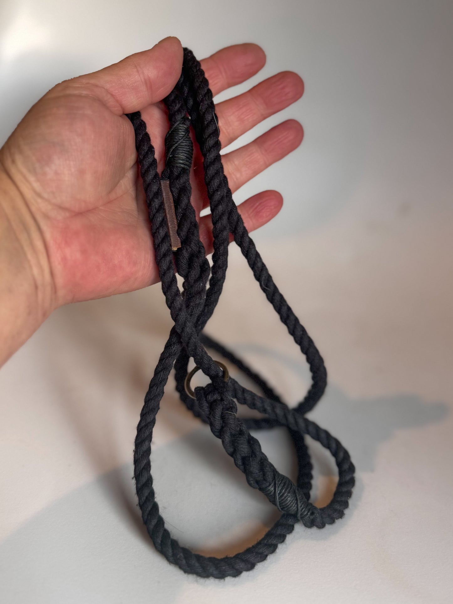 The Show Rope Lead