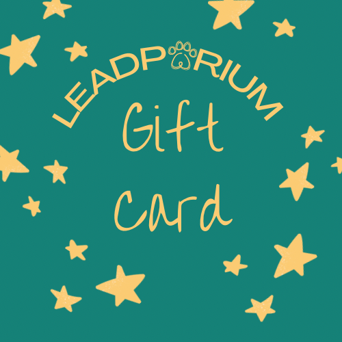 E gift card