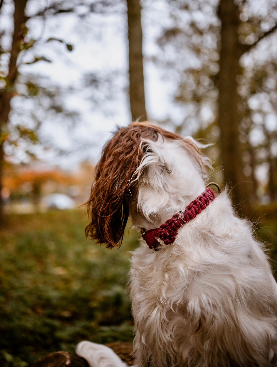 Macrame collars