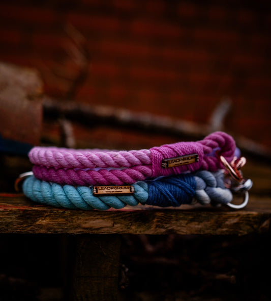 Ombré Rope collars