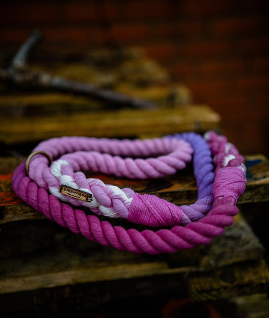 Ombré Rope Leads