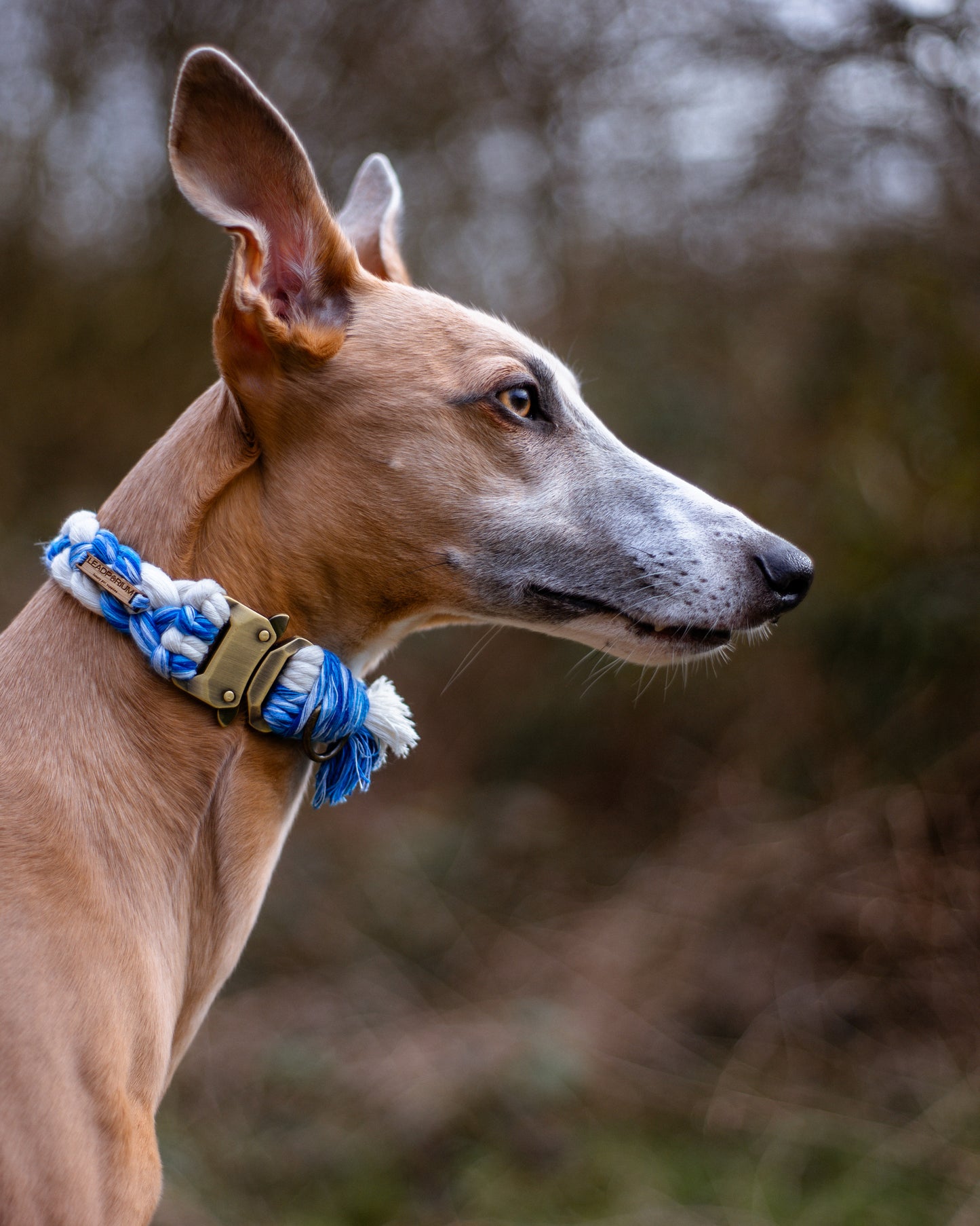 Plaited Macramé Collars