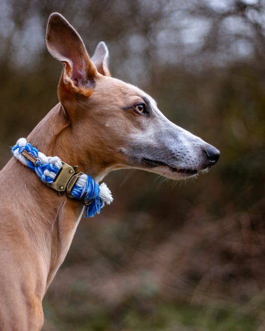 Plaited Macramé Collars