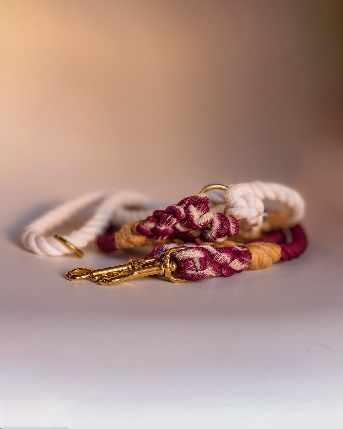 The Multi Rope Lead