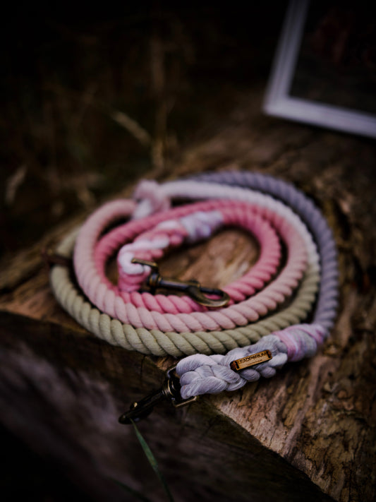 Ember,The Dog Leads