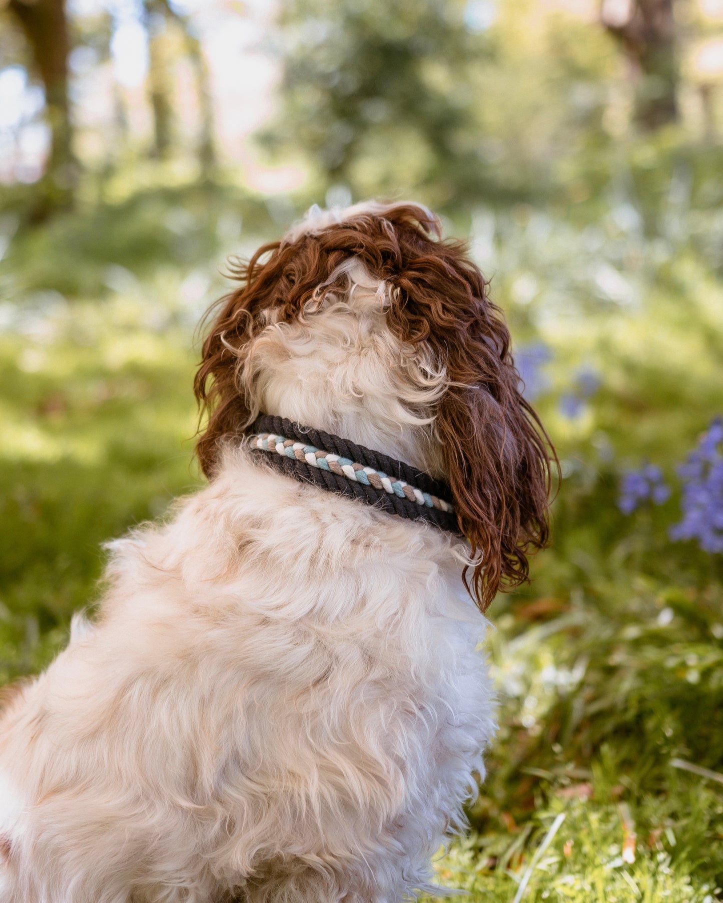 Luxury Double Up Collars
