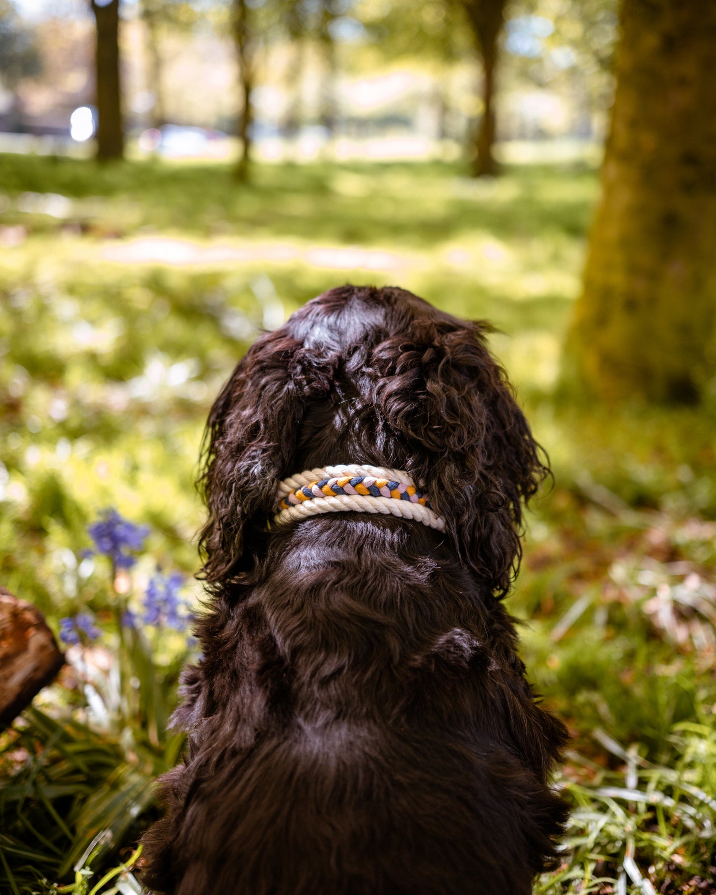 Luxury Double Up Collars