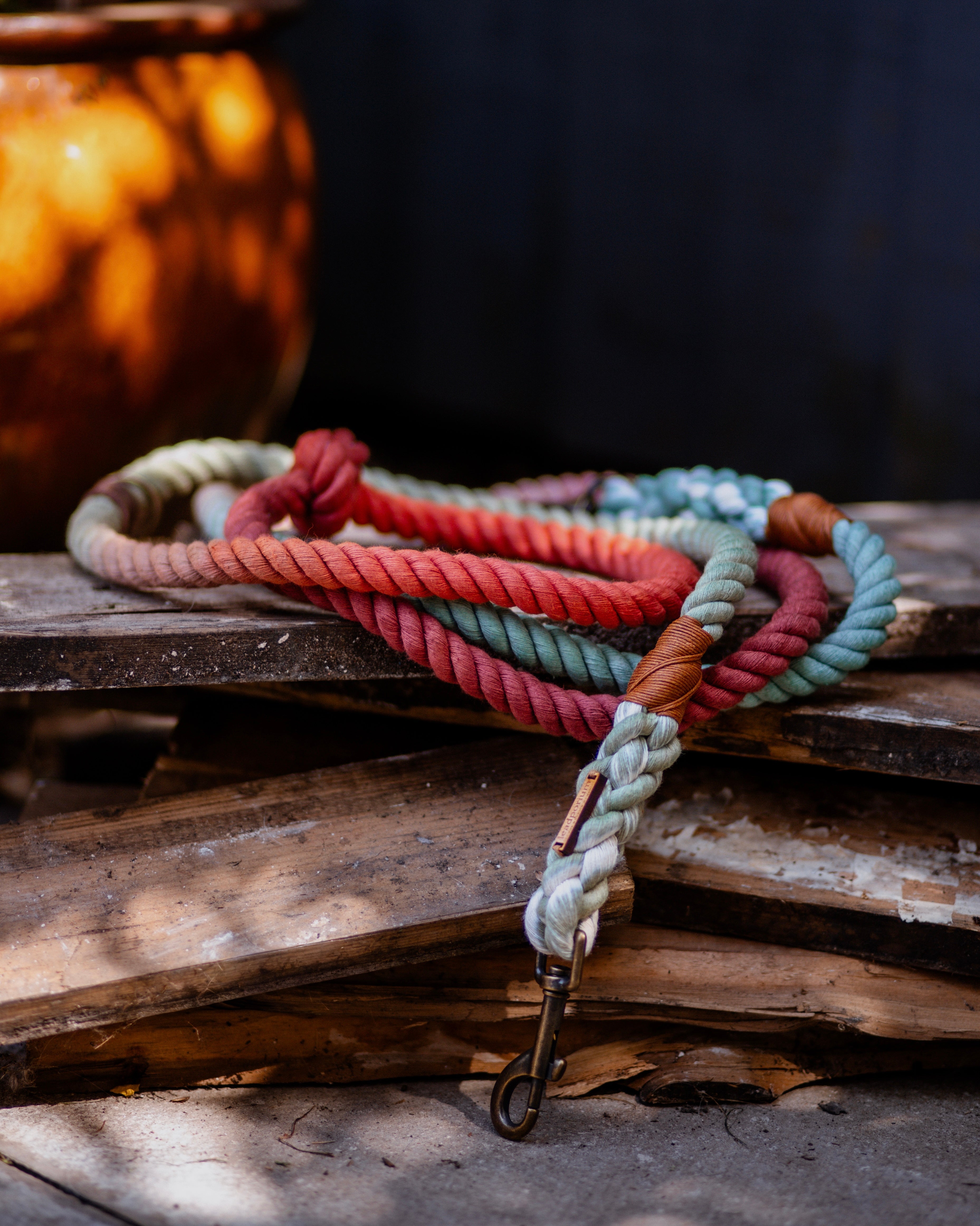 Multicolored braided rope leash on a wooden surface with a dark background