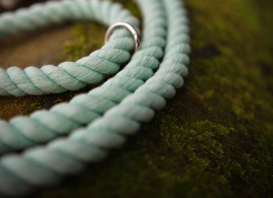 Rope lanyard