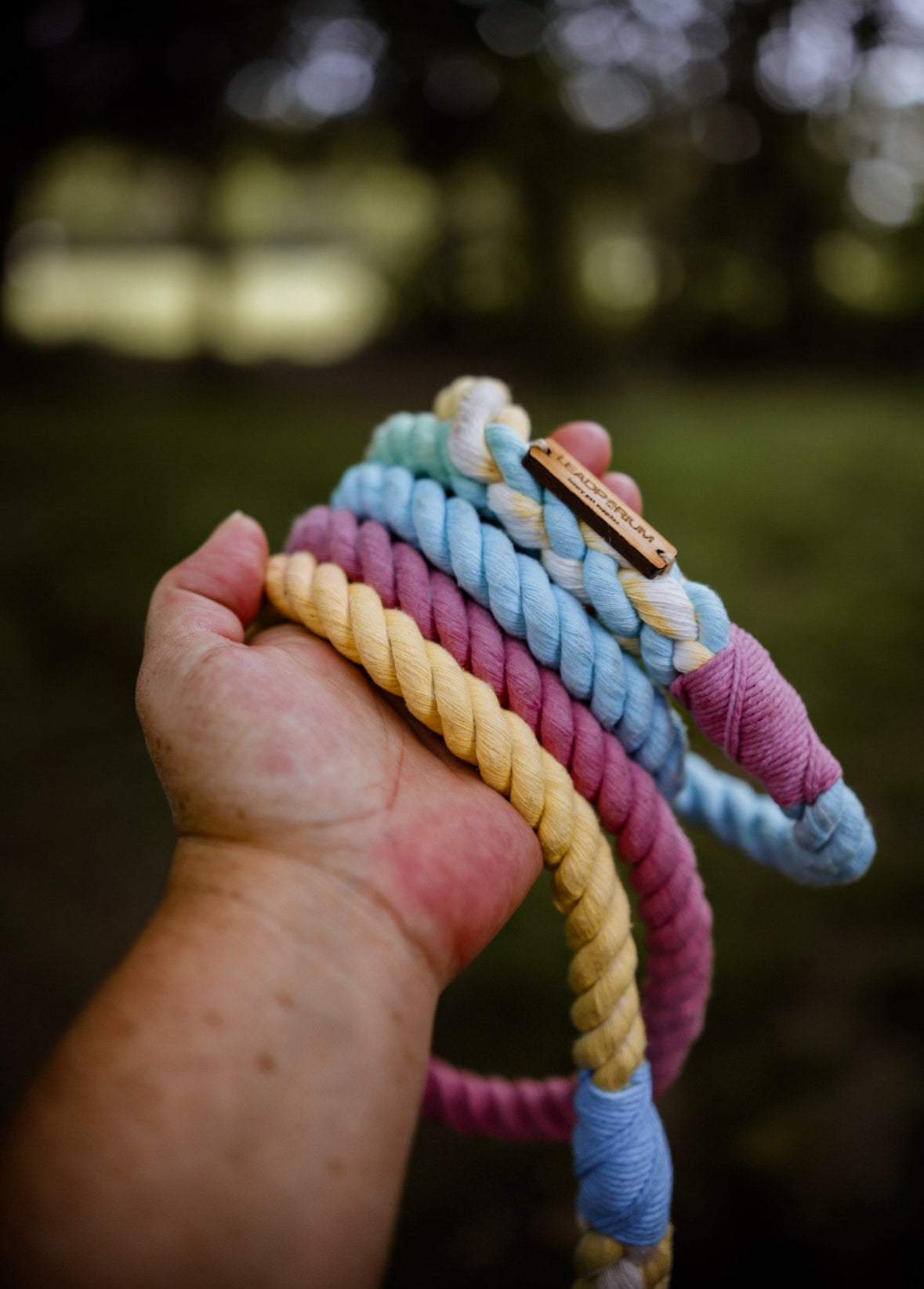 ‘Bright trio’ leads & collars